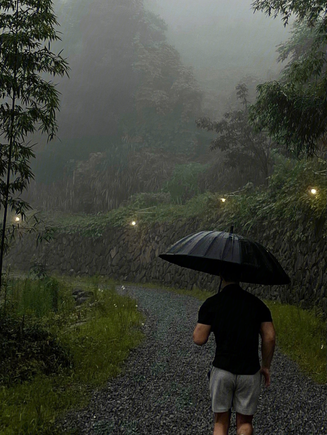 空山新雨后封面图片