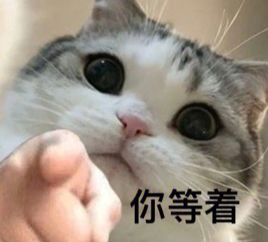 静态泡芙猫表情包图片