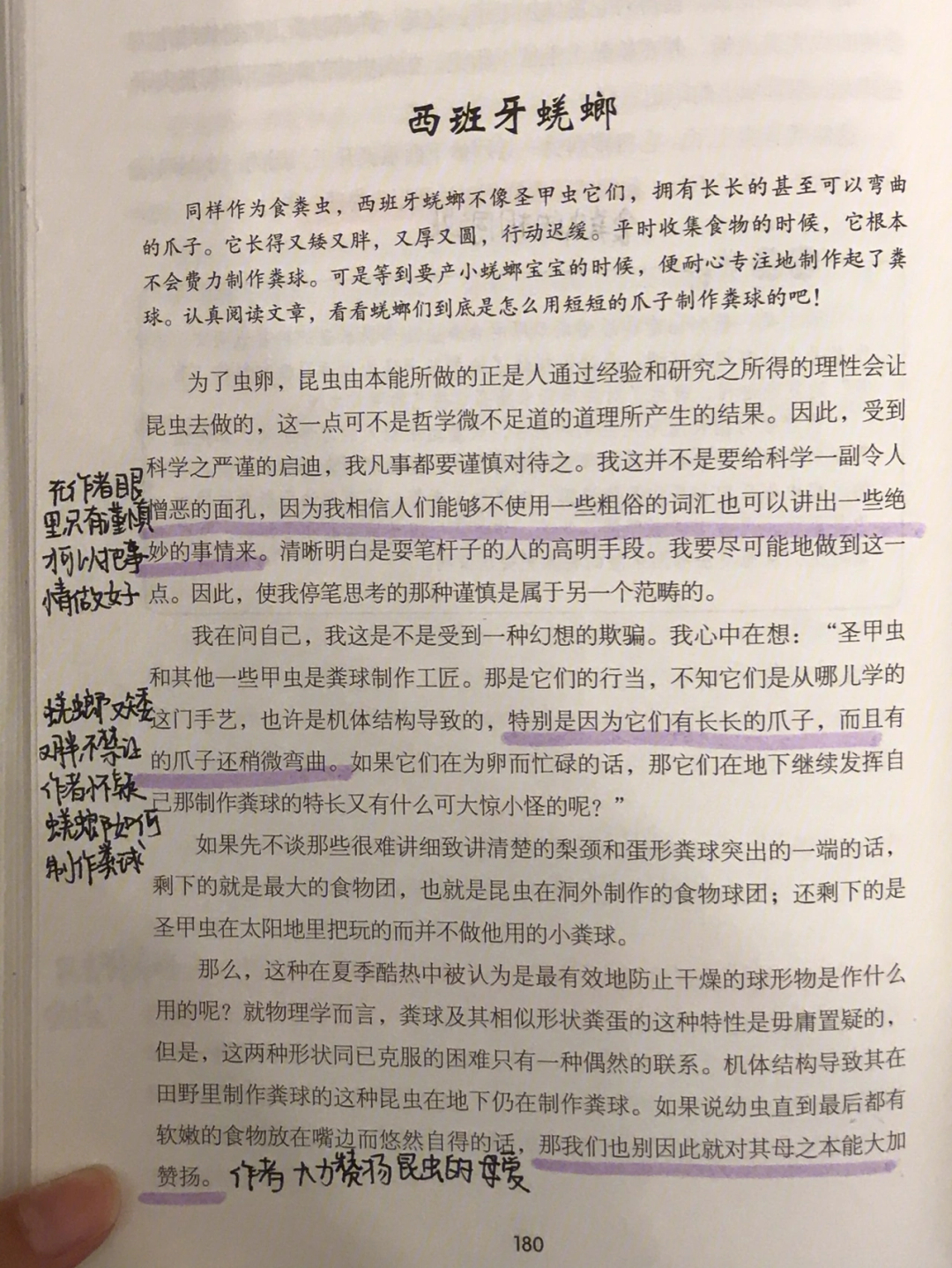 昆虫记小阔条纹蝶批注图片