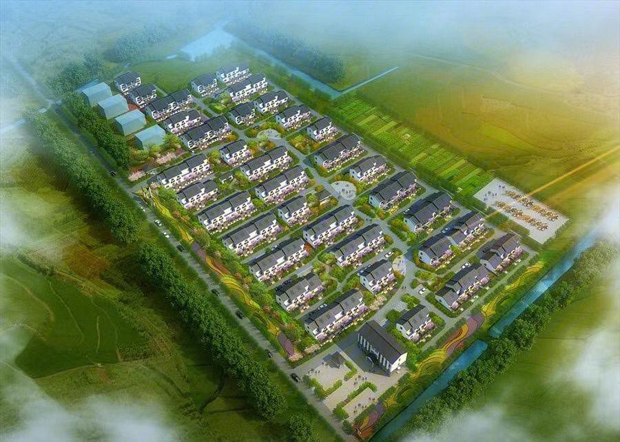 新洋县县城规划建设图图片