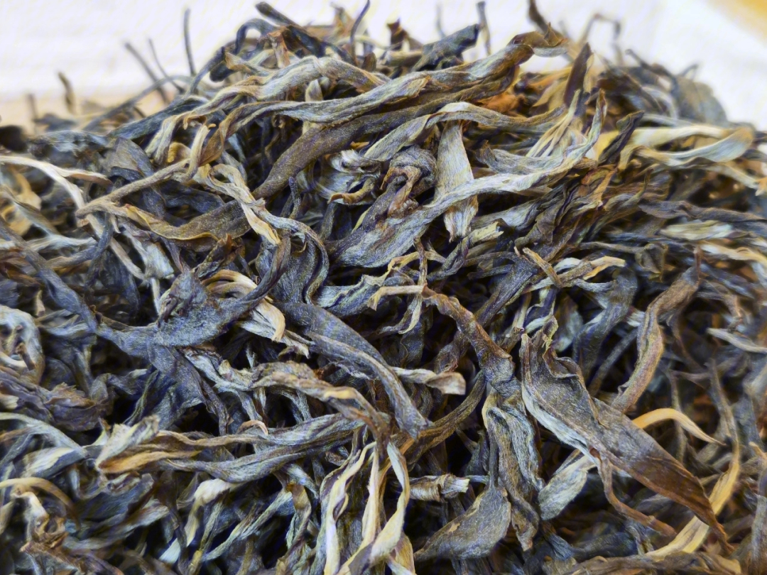 老曼峨古树茶2019年