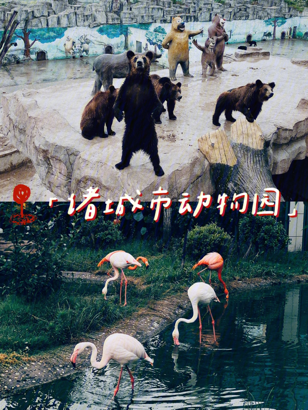 潍坊周边诸城市动物园游玩攻略