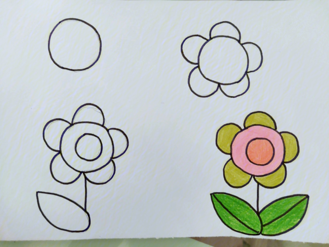 儿童简笔画小花的画法图片