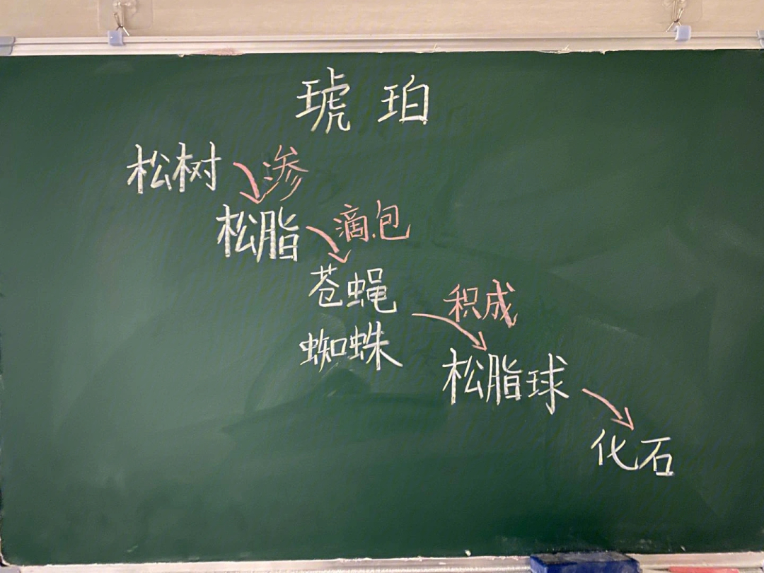 小学语文板书设计