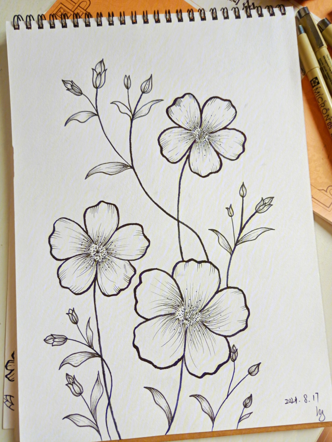 黑白画简单花朵图片