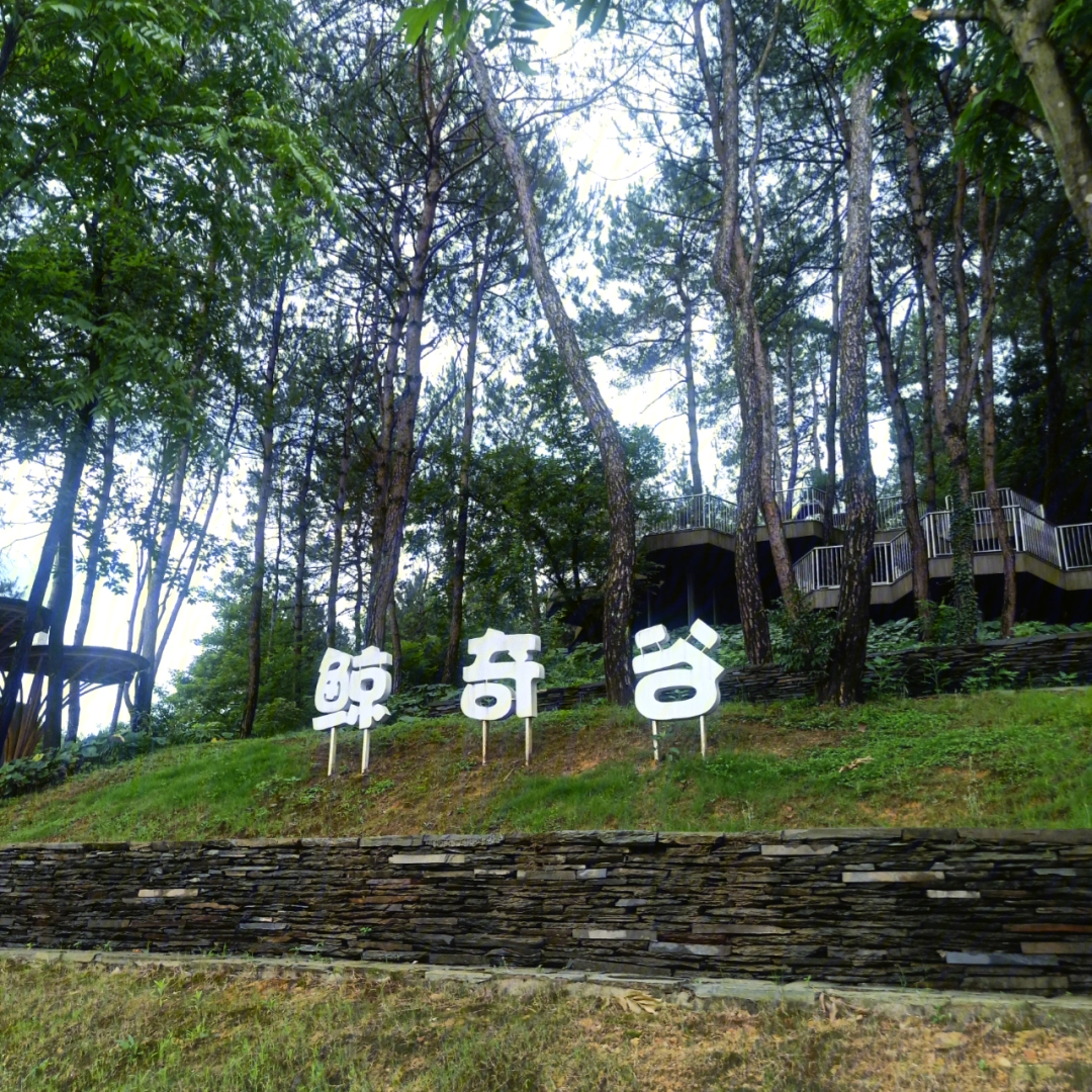 安吉桃花源鲸奇谷门票图片