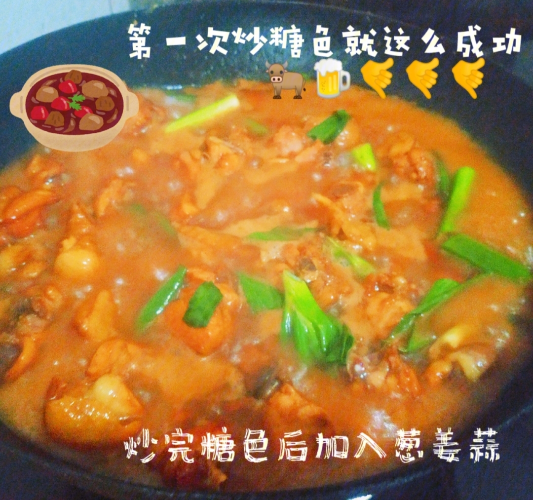 鸡肉土豆炖粉条的做法图片