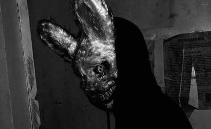 兔子被吓死的样子图片