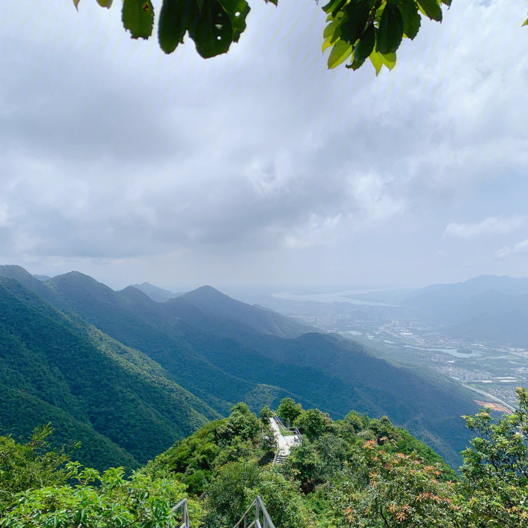 北岭山多高图片