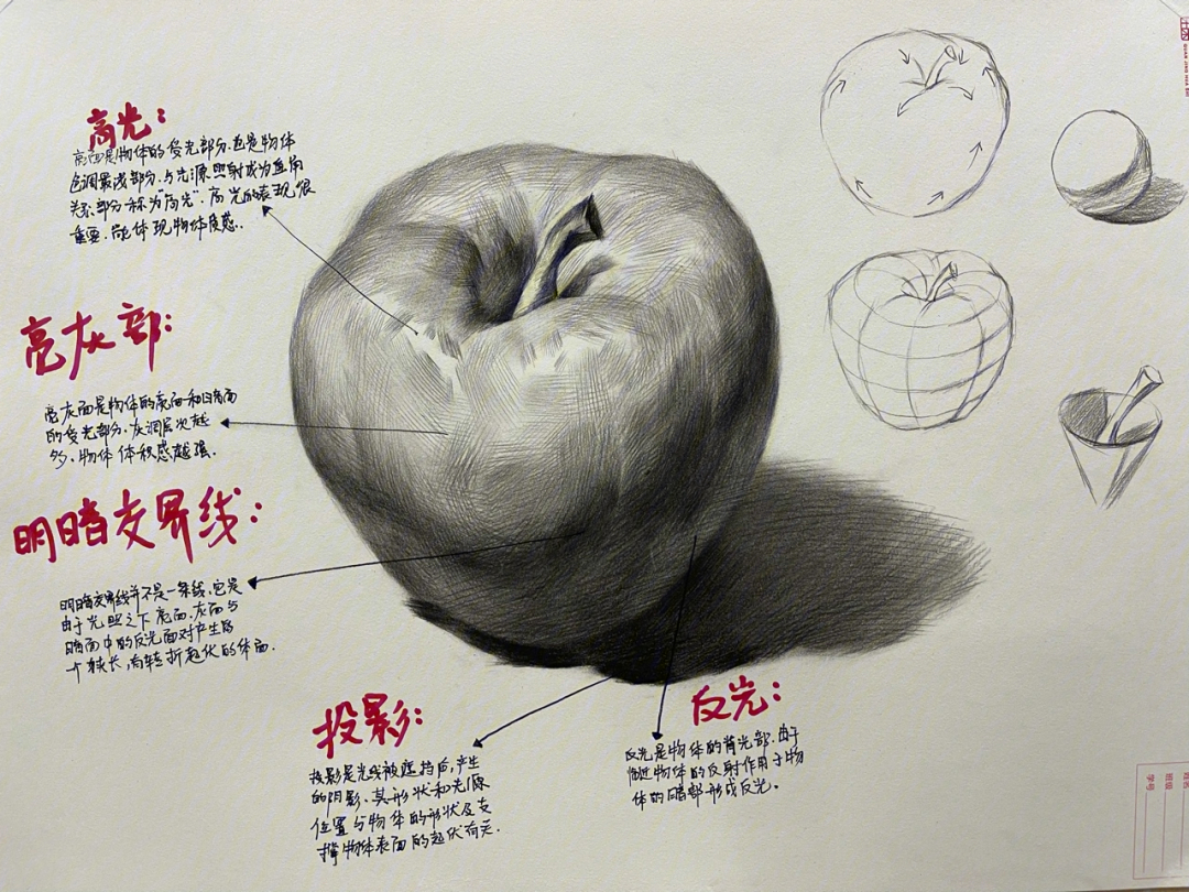 素描静物苹果教案图片