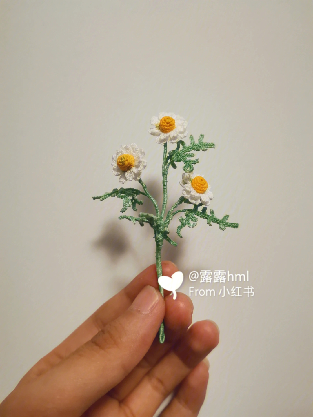 微钩小花