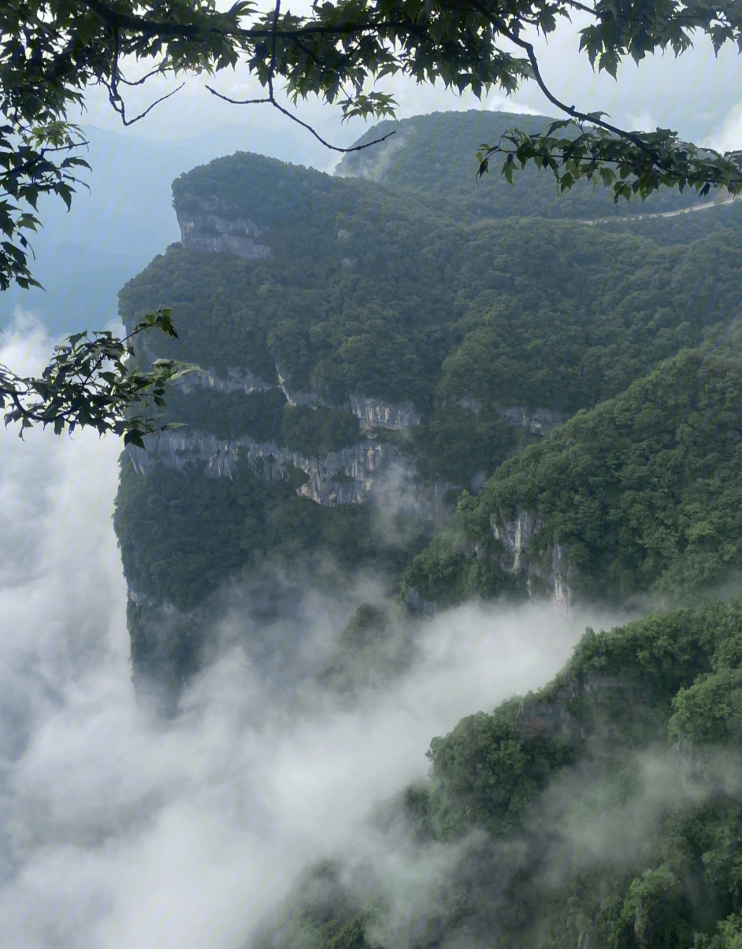 酉阳县龙头山图片