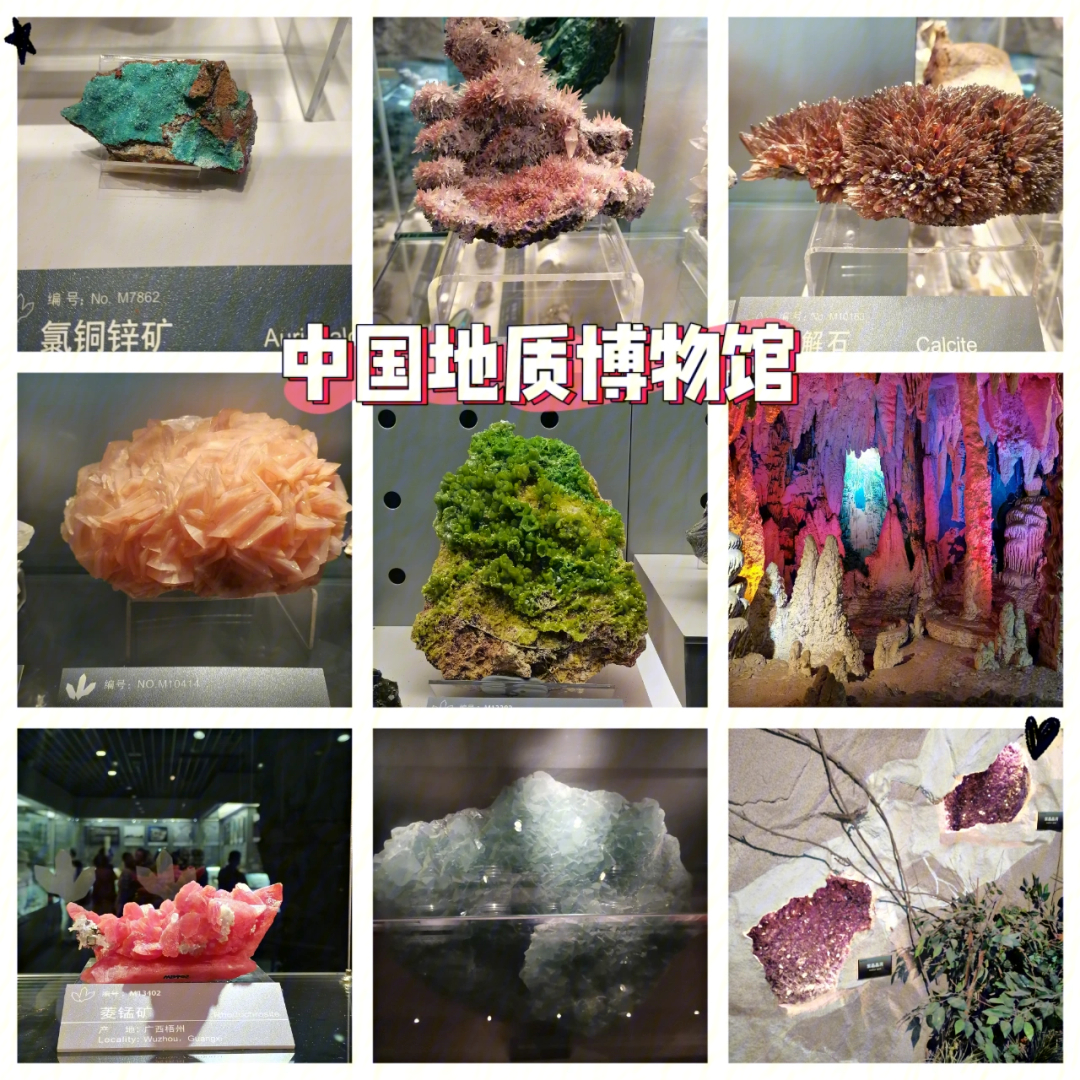 中国地质博物馆平面图图片