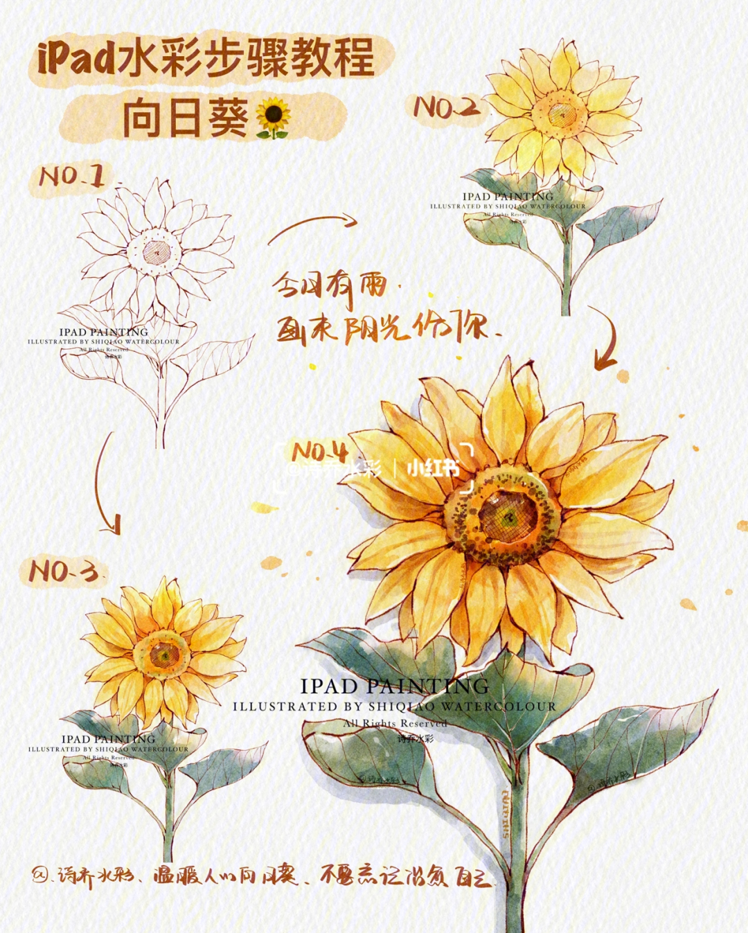 向日葵的水彩画法步骤图片