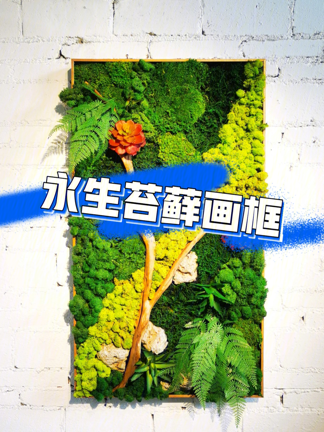 是永不凋零的植物壁画06主材选用永生苔藓,经过防腐处理的苔藓标本