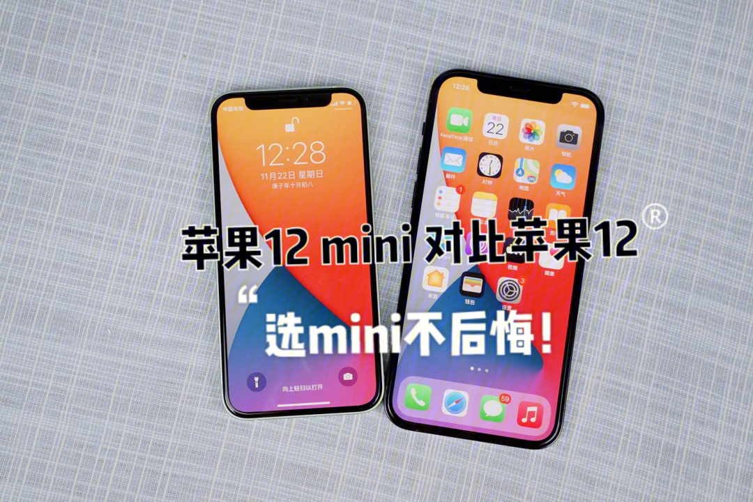 iphone12大小对比图片