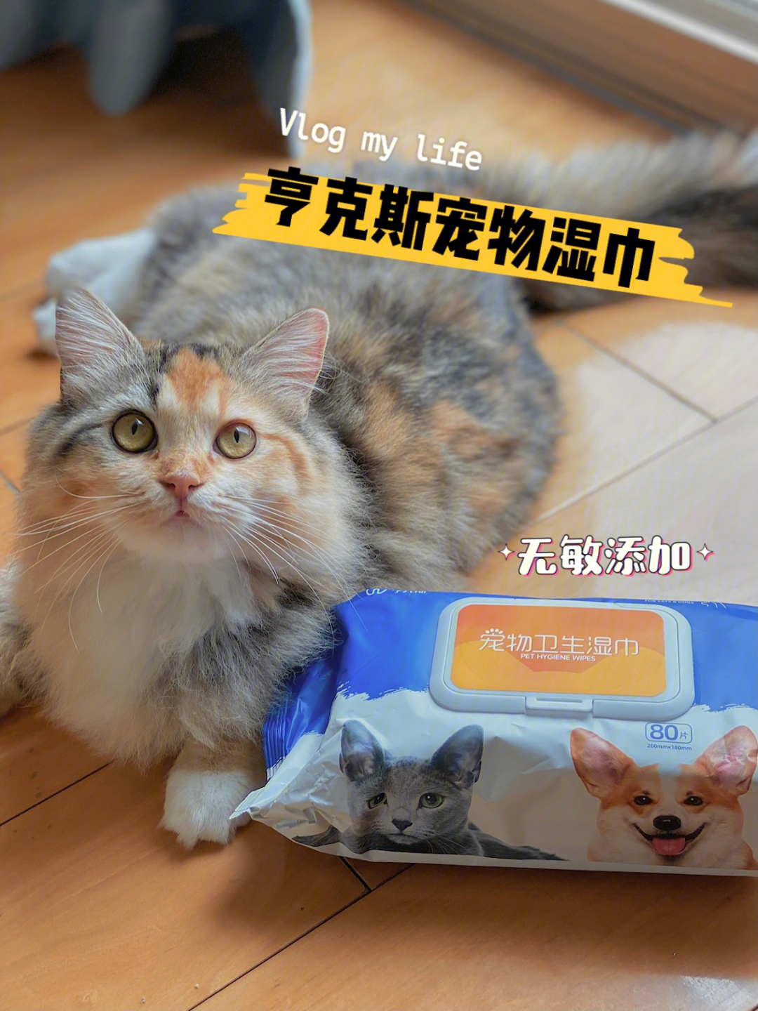 宠物湿巾是养猫人日常必备的用品之一 给猫咪擦pp擦眼睛都需要用到