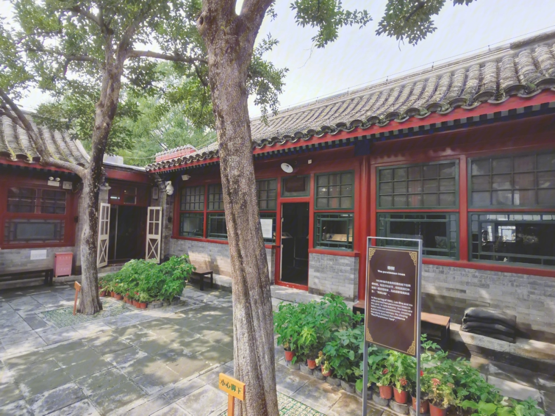 老舍纪念馆北京丹柿小院