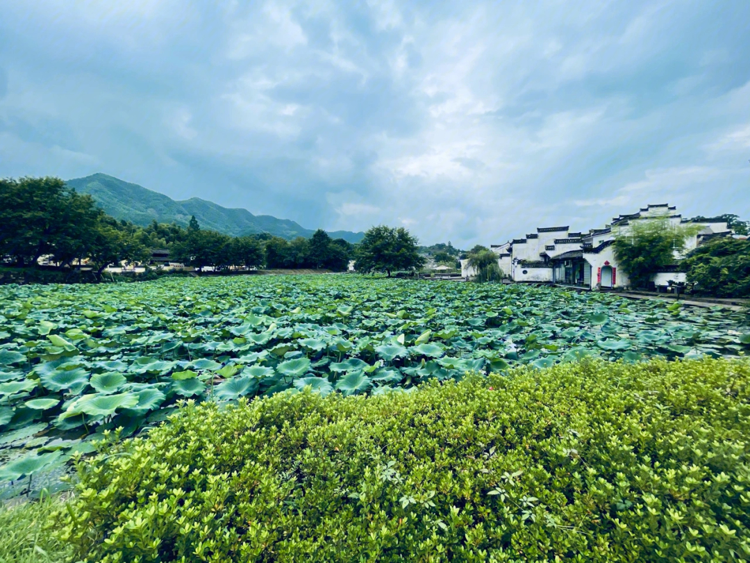 安徽呈坎澍德堂