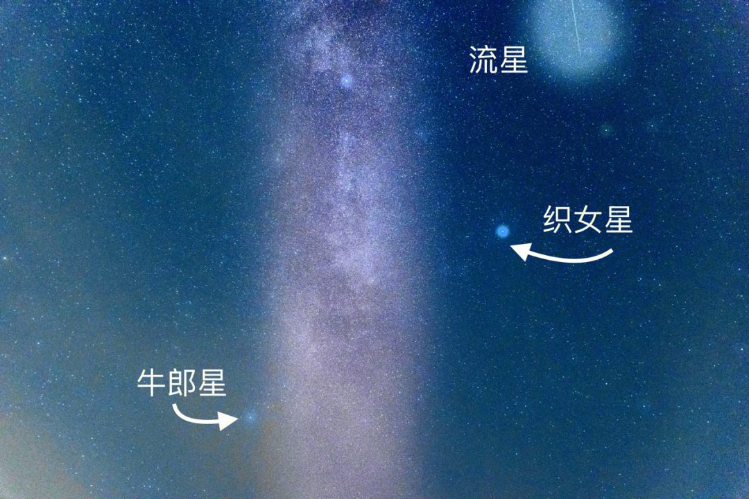 牛郎星图片真实图片