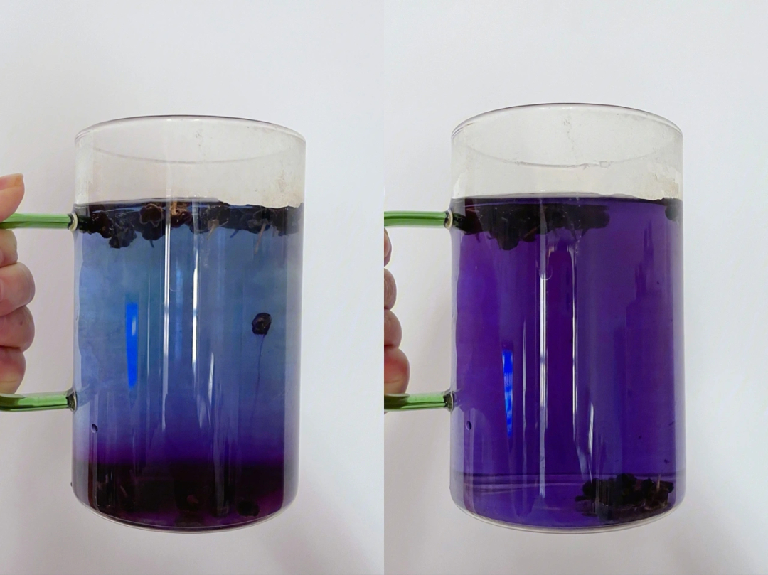 黑枸杞泡水,颜色由晶莹的蓝变成澄澈的紫90