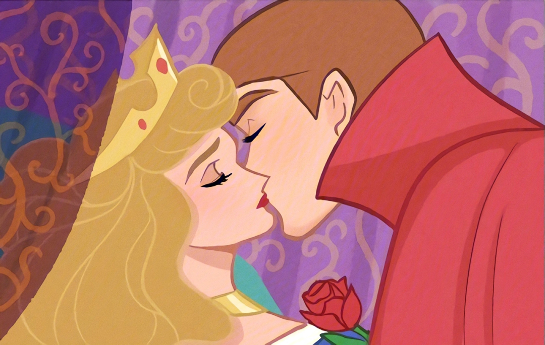 迪士尼公主与王子啪图图片