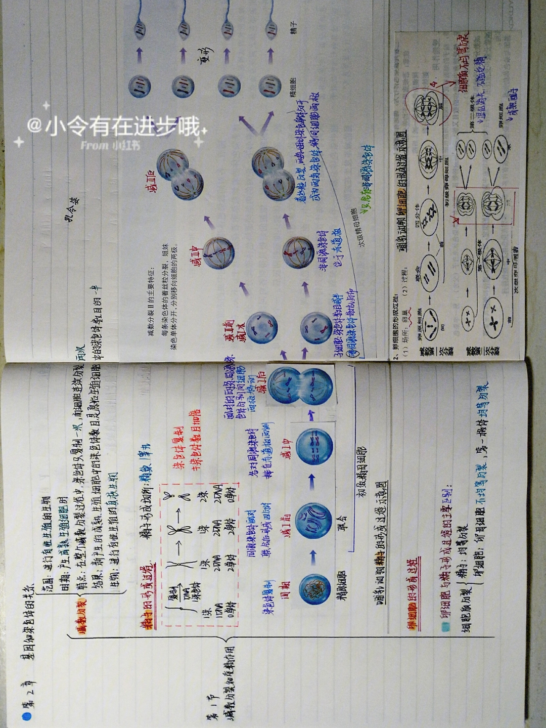 植物学第二章思维导图图片