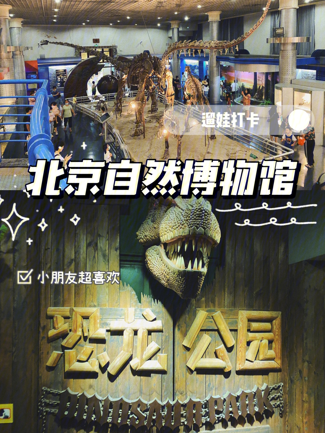 北京自然博物馆无预约现场购票攻略