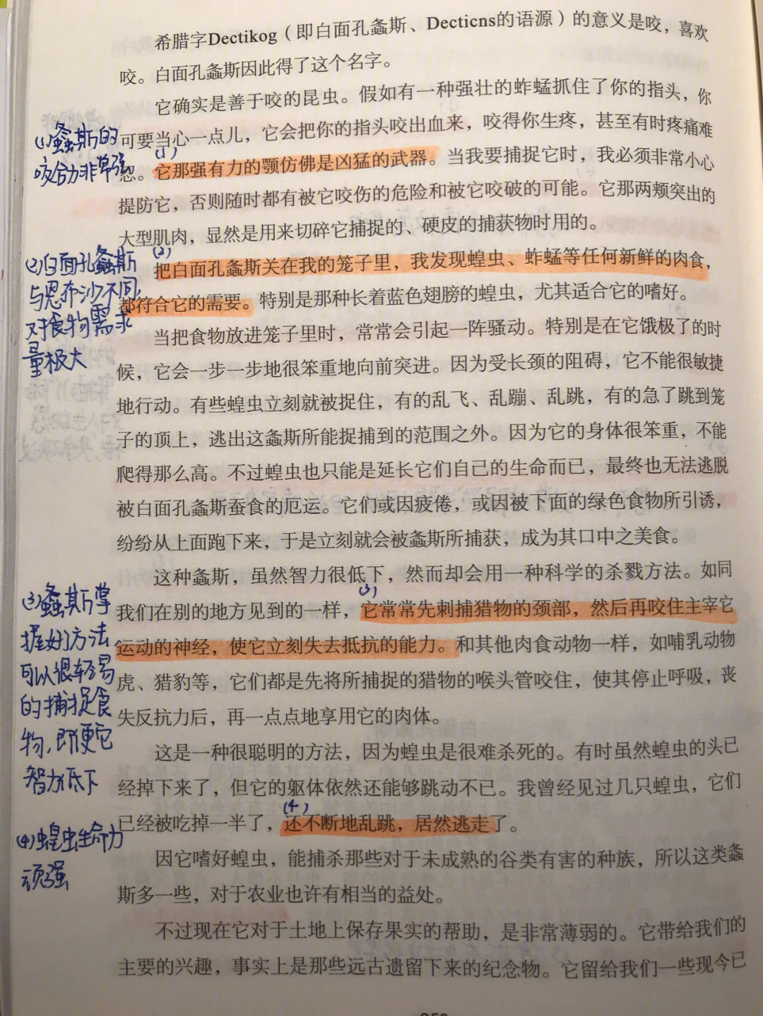 昆虫记小阔条纹蝶批注图片