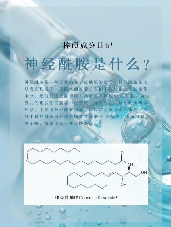 神经酰胺的作用与功效图片