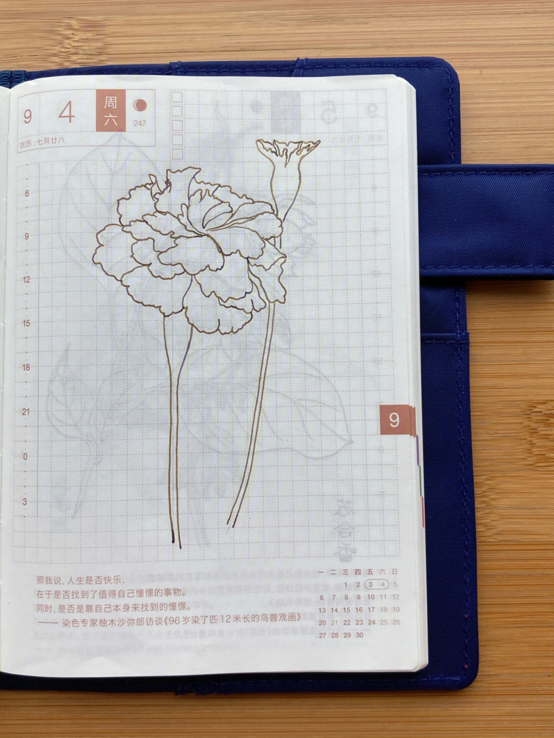 万寿菊画法图片