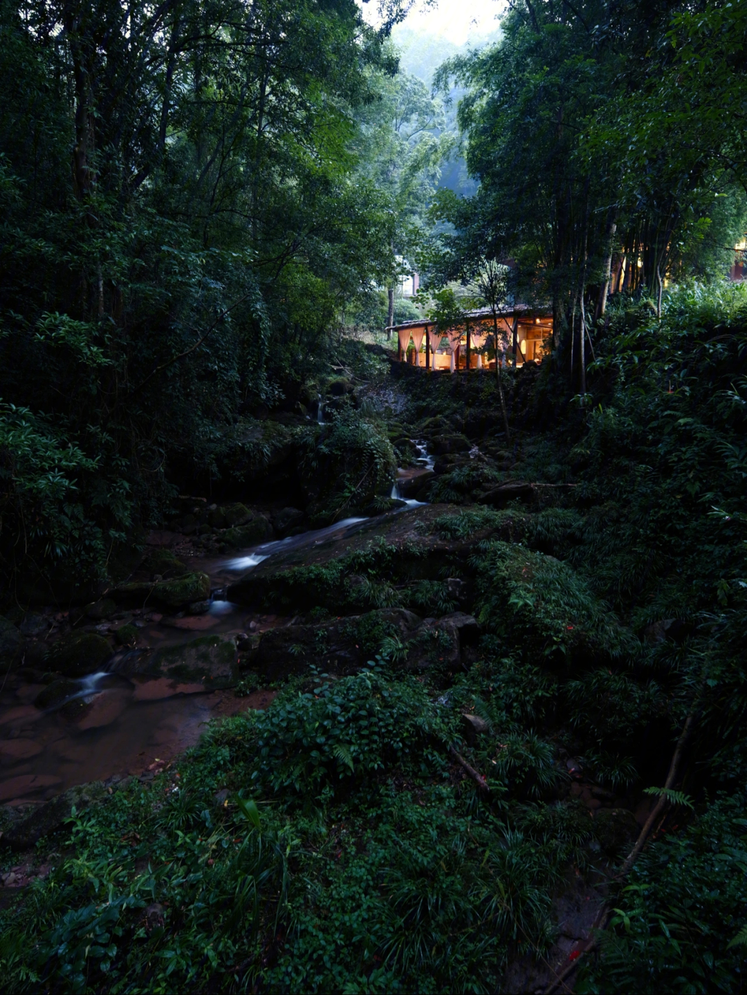 青城山坐忘森林