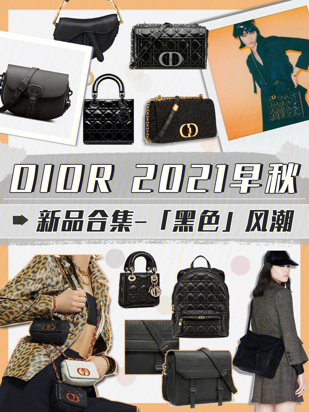 dior2021早秋图片