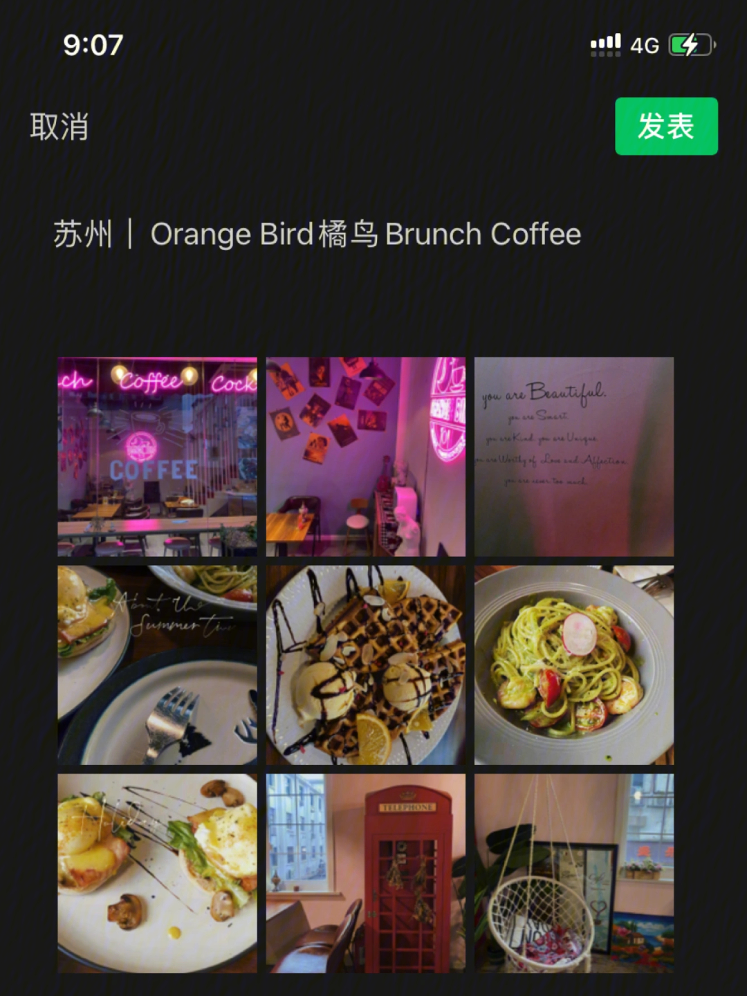 苏州探店orangebird橘鸟brunchcoffee