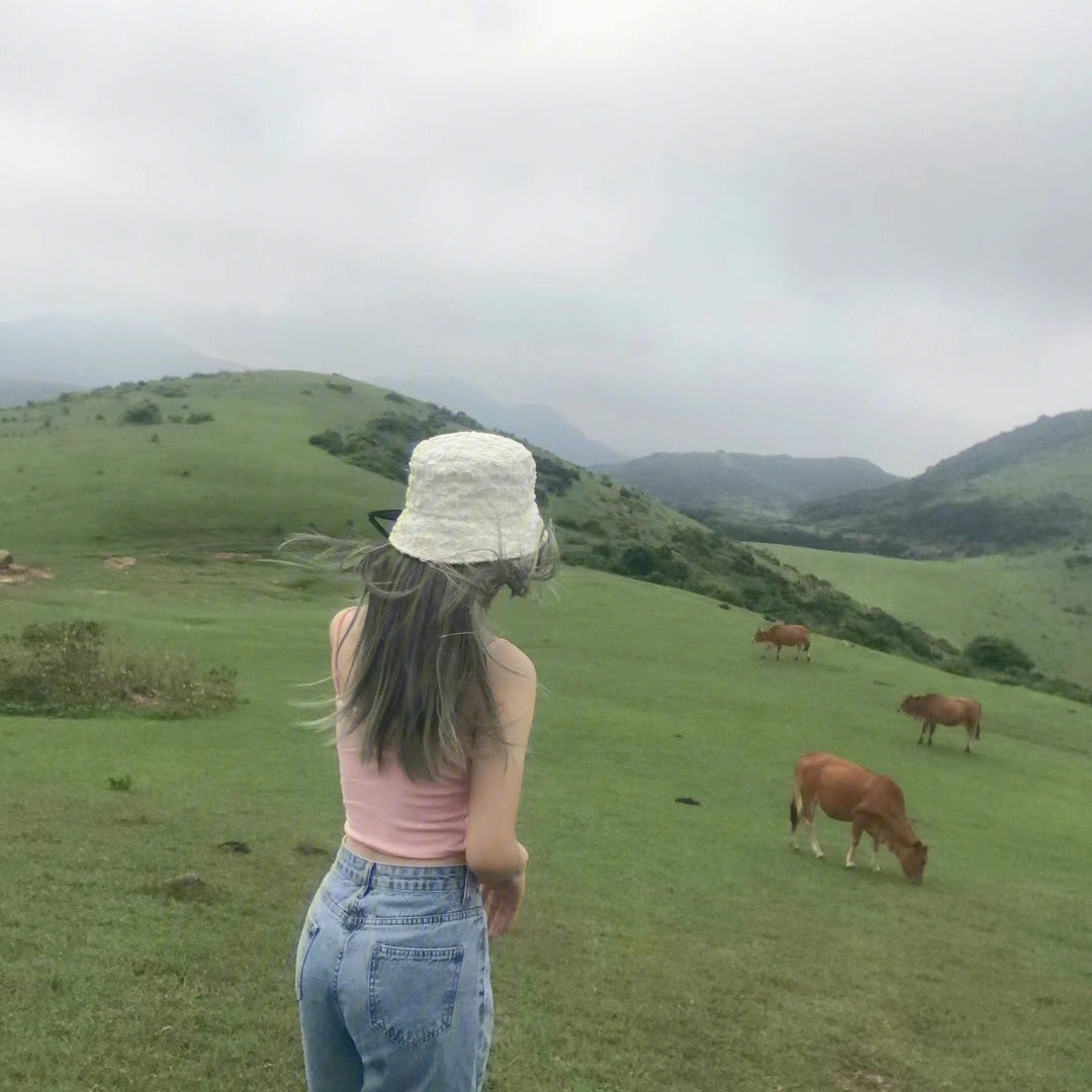 福清大姆山草场