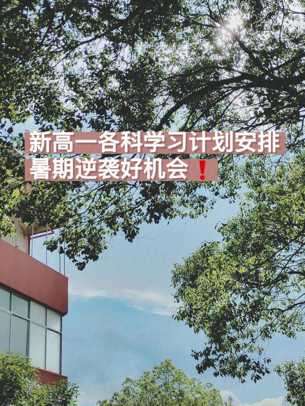 新高一暑期逆袭各科学习计划75