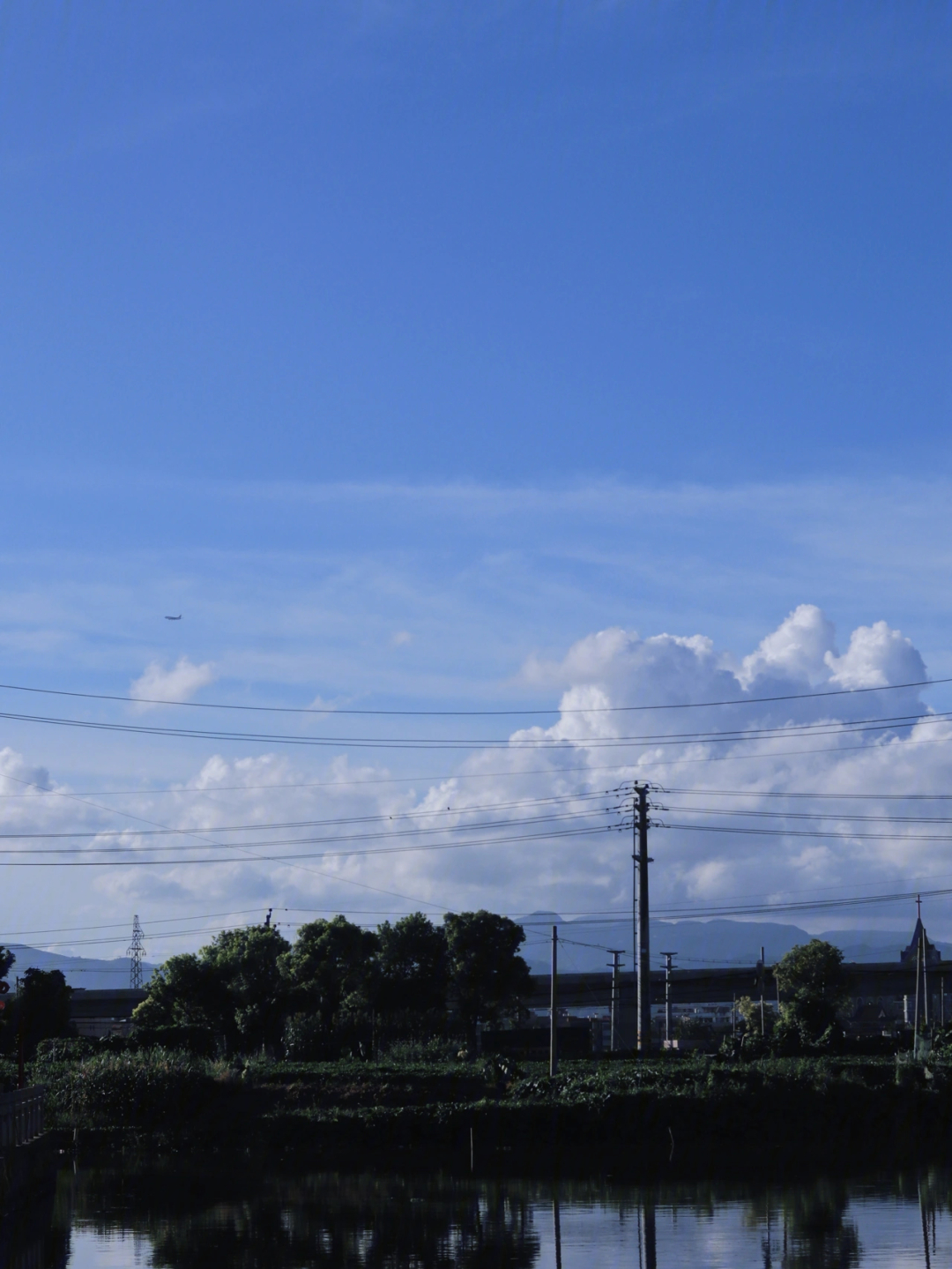 随手拍夏天的风景