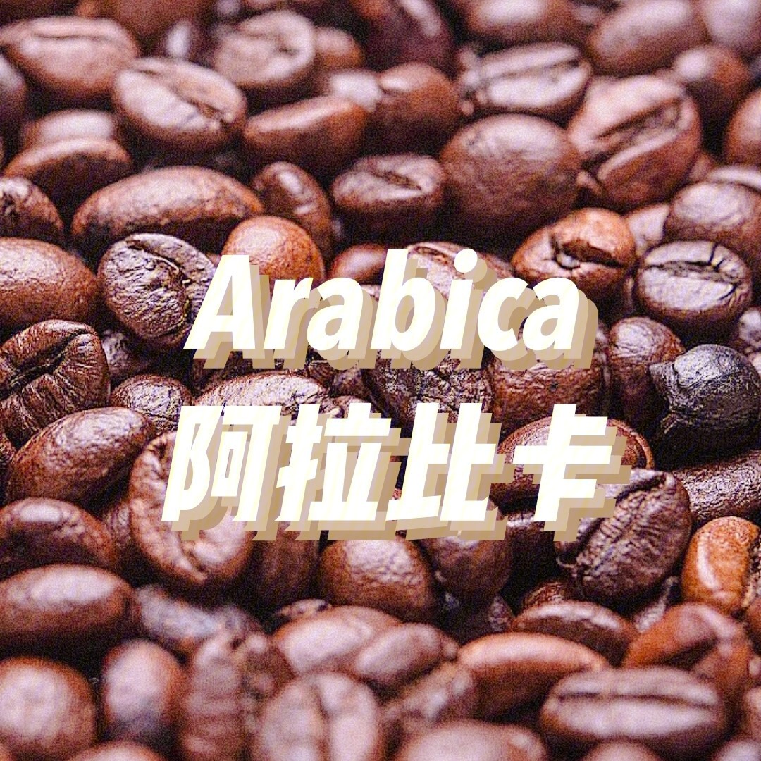 阿拉比卡咖啡菜单图片