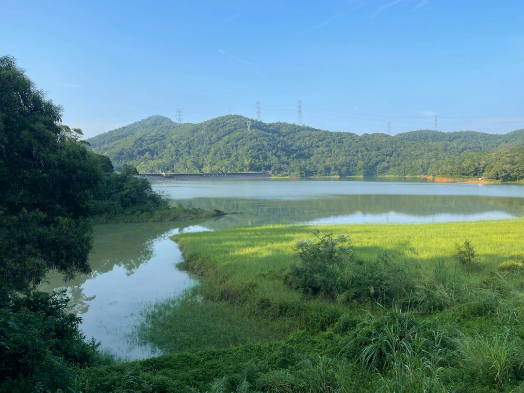 台风过后的厦门天竺山森林公园美景尽收眼底