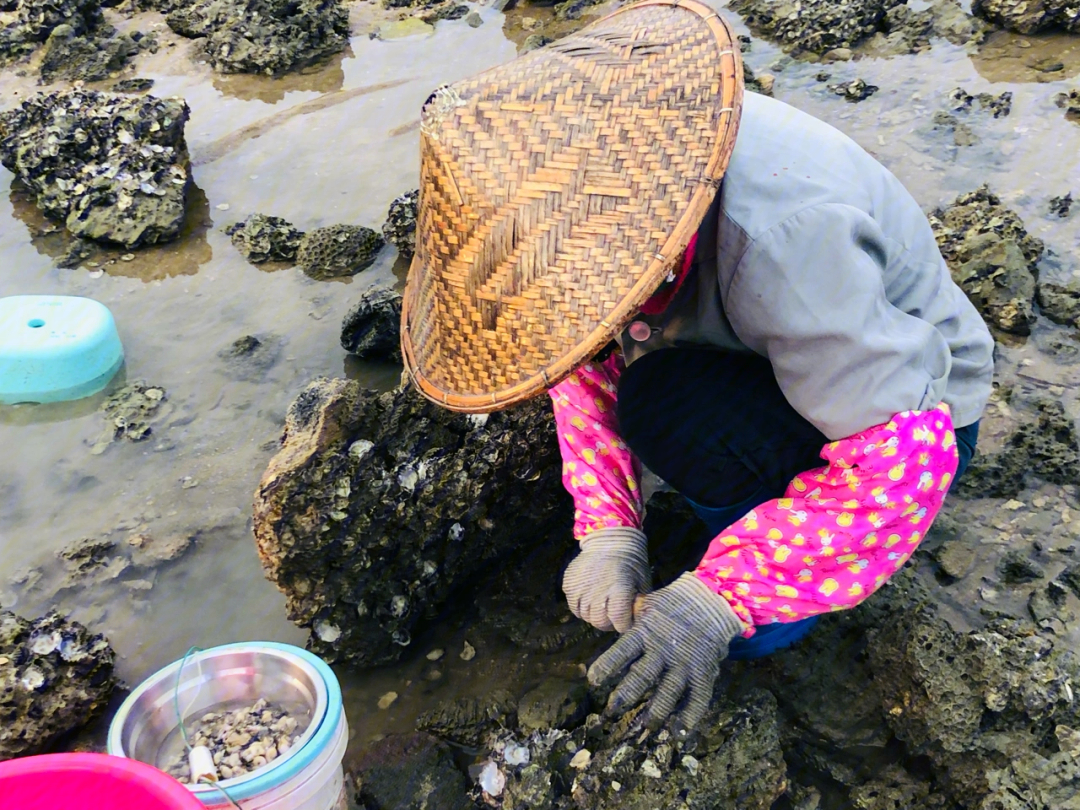 昌江海尾镇海鲜市场图片