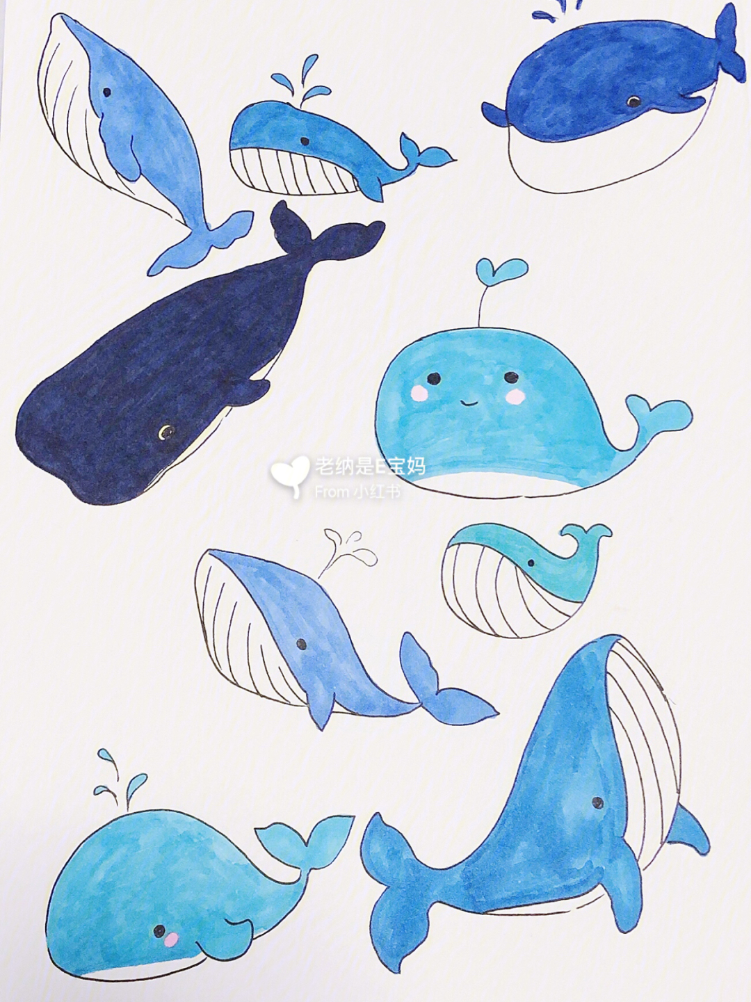 亲子简笔画一波可爱的鲸鱼