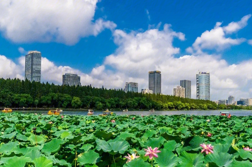 南京玄武湖