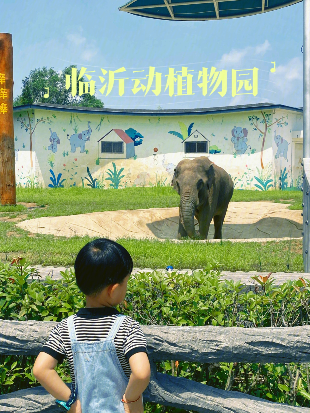 临沂河东动植物园地址图片