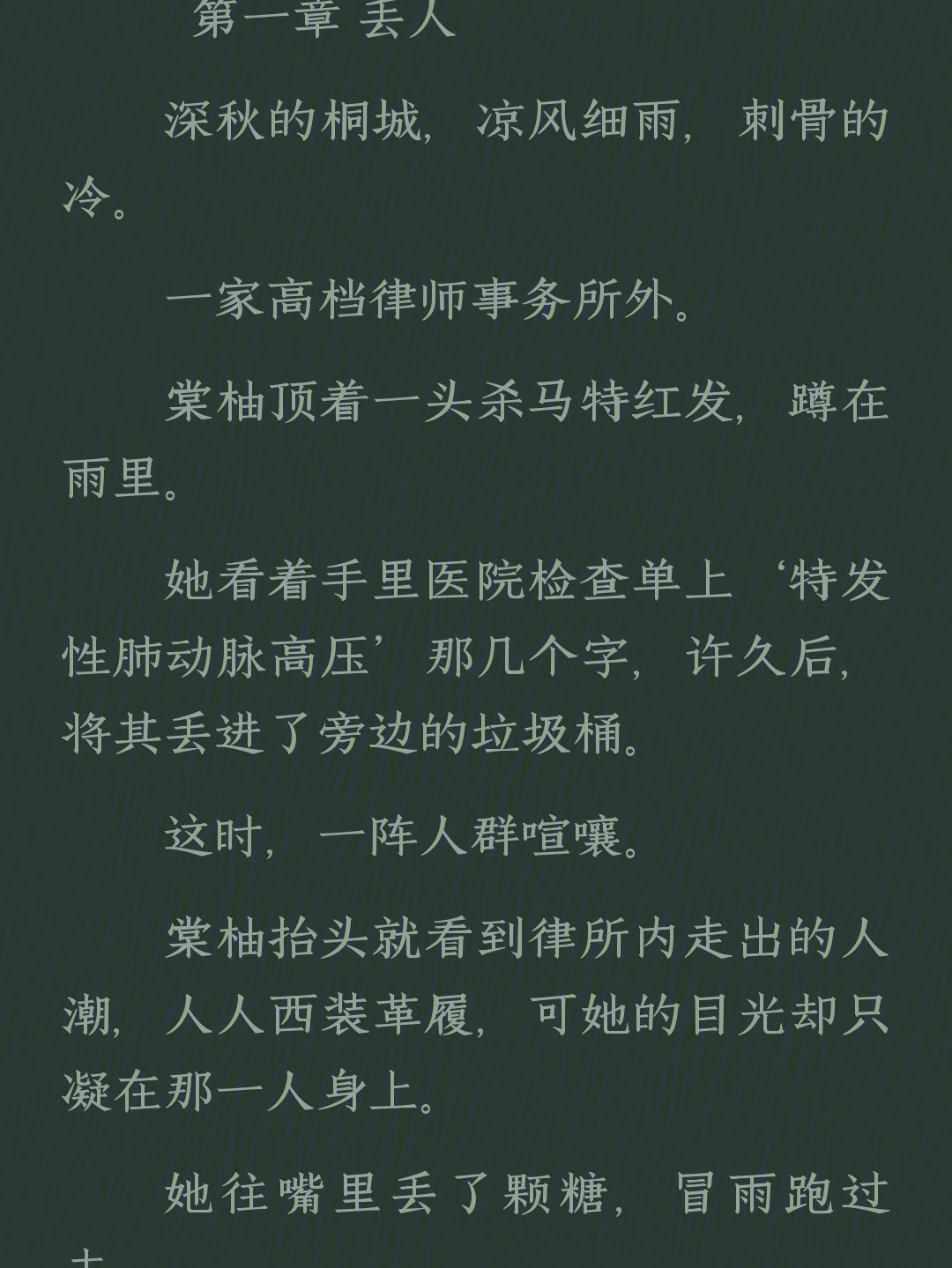 顾念傅言枭顾念傅言枭双律师全文阅