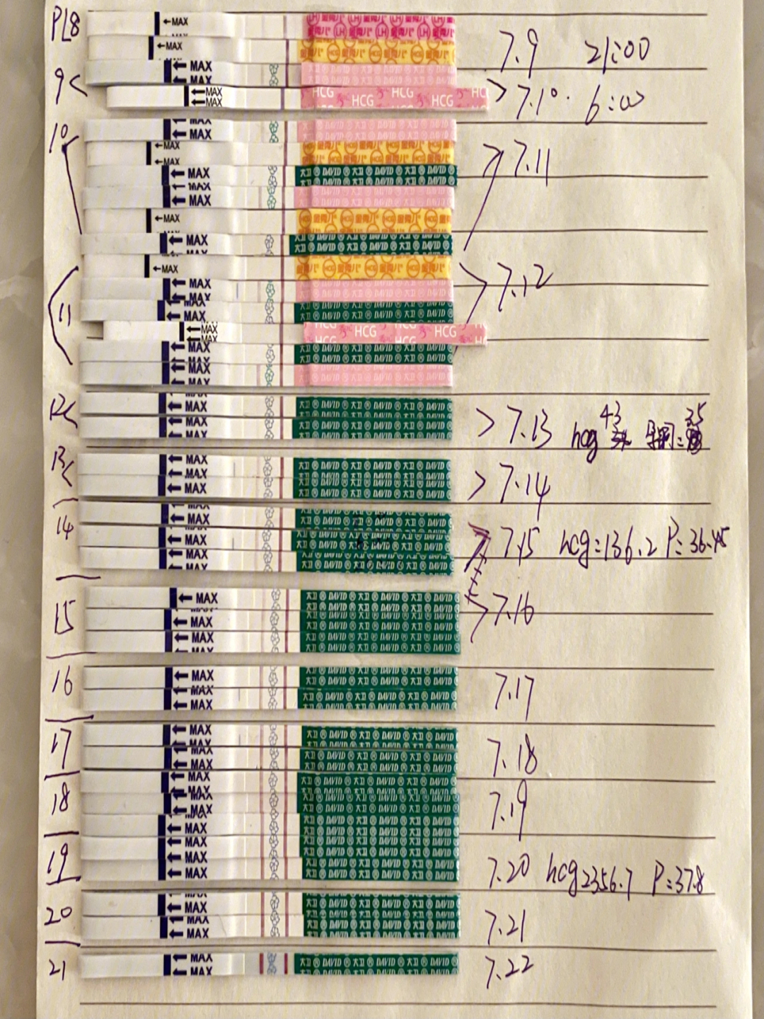 大卫试纸hcg对照表图片图片