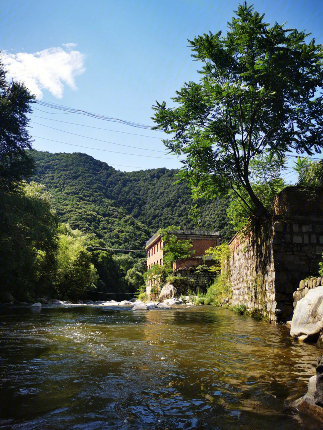 秦岭沣峪口图片