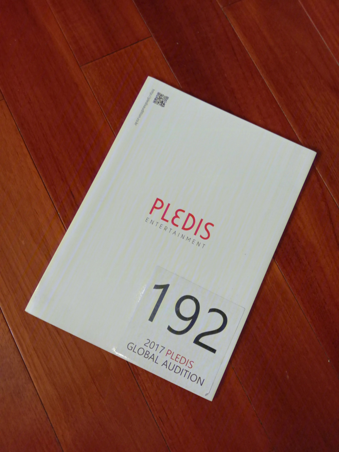 2017 pledis global audition