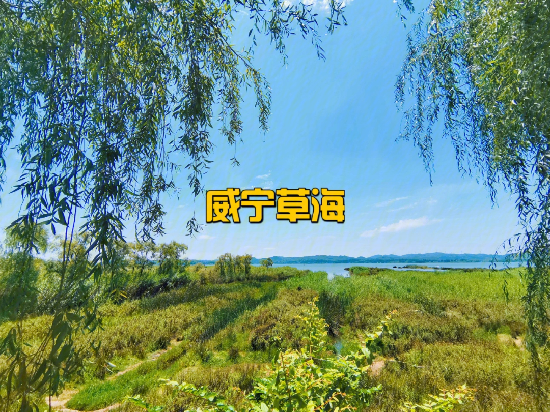 草海是几A景区图片