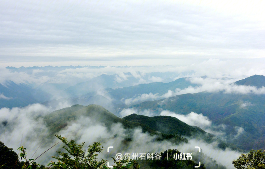 龙南石斛谷风景区图片