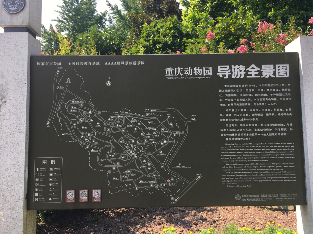 绵阳南湖公园景点介绍图片